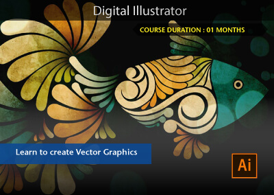 Digital Illustrations